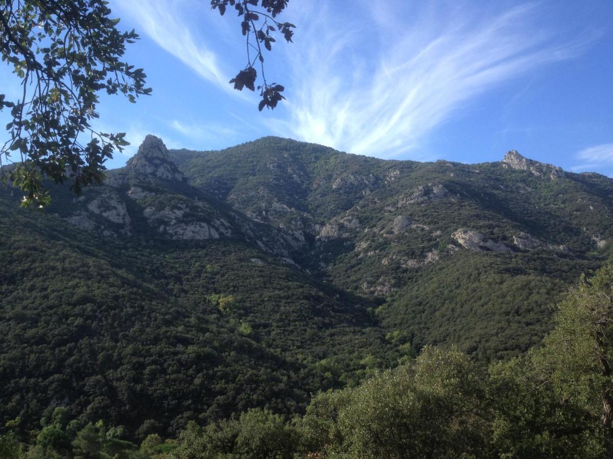 L'Abri La Vall Sorède Εξωτερικό φωτογραφία