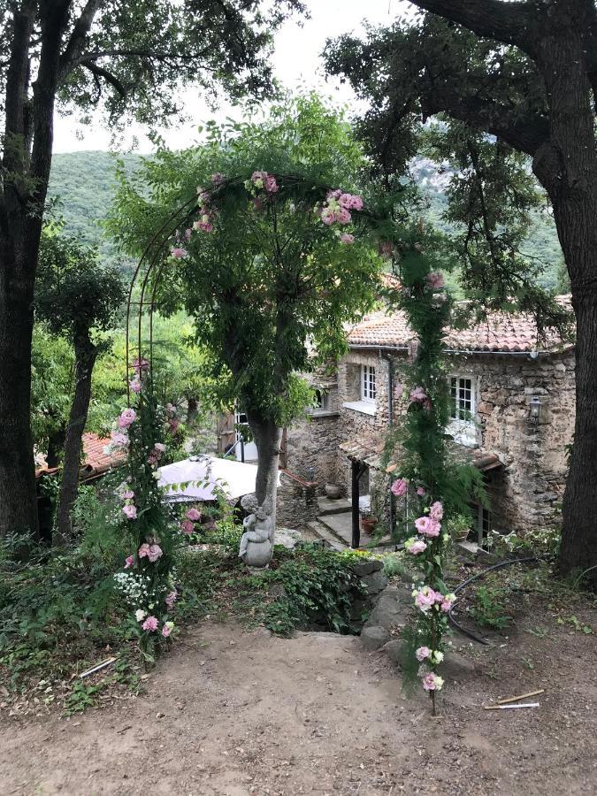 L'Abri La Vall Sorède Εξωτερικό φωτογραφία