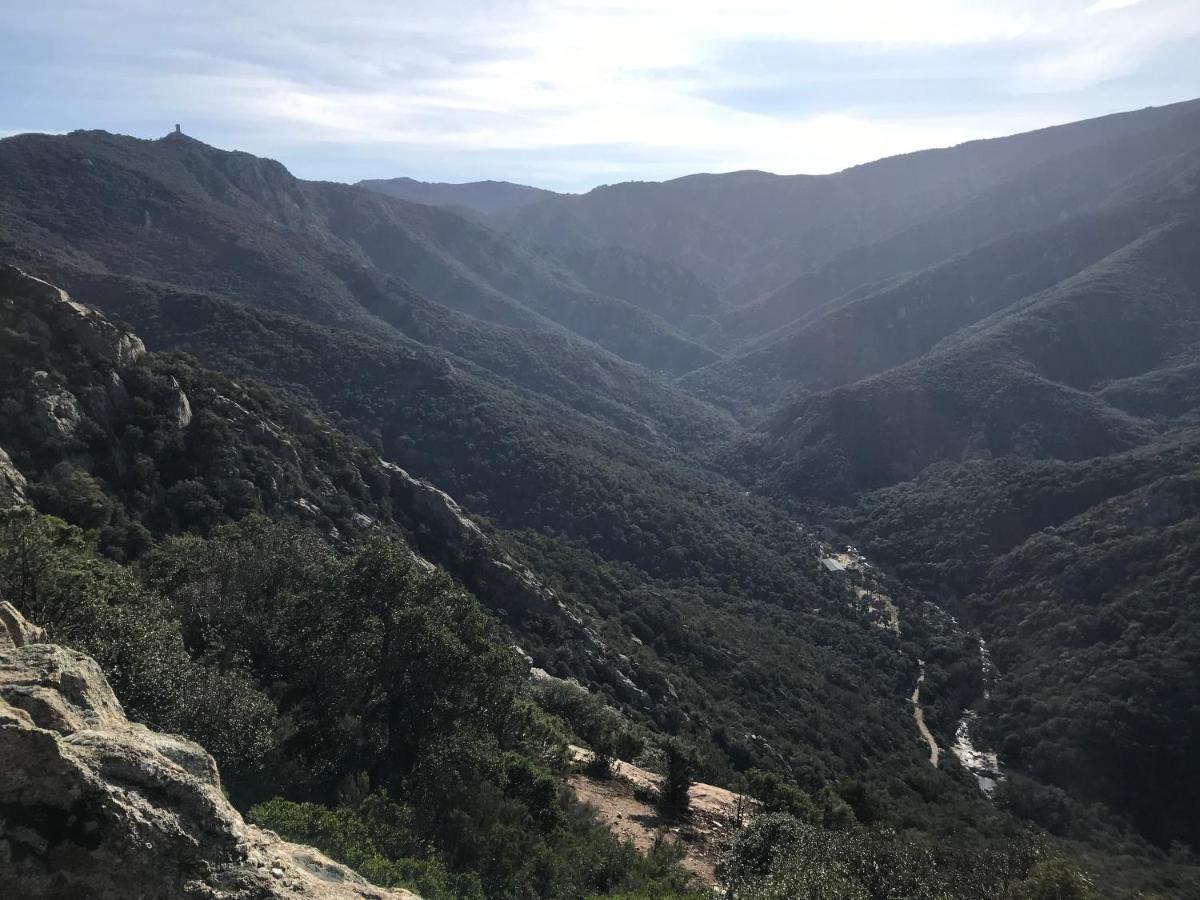 L'Abri La Vall Sorède Εξωτερικό φωτογραφία