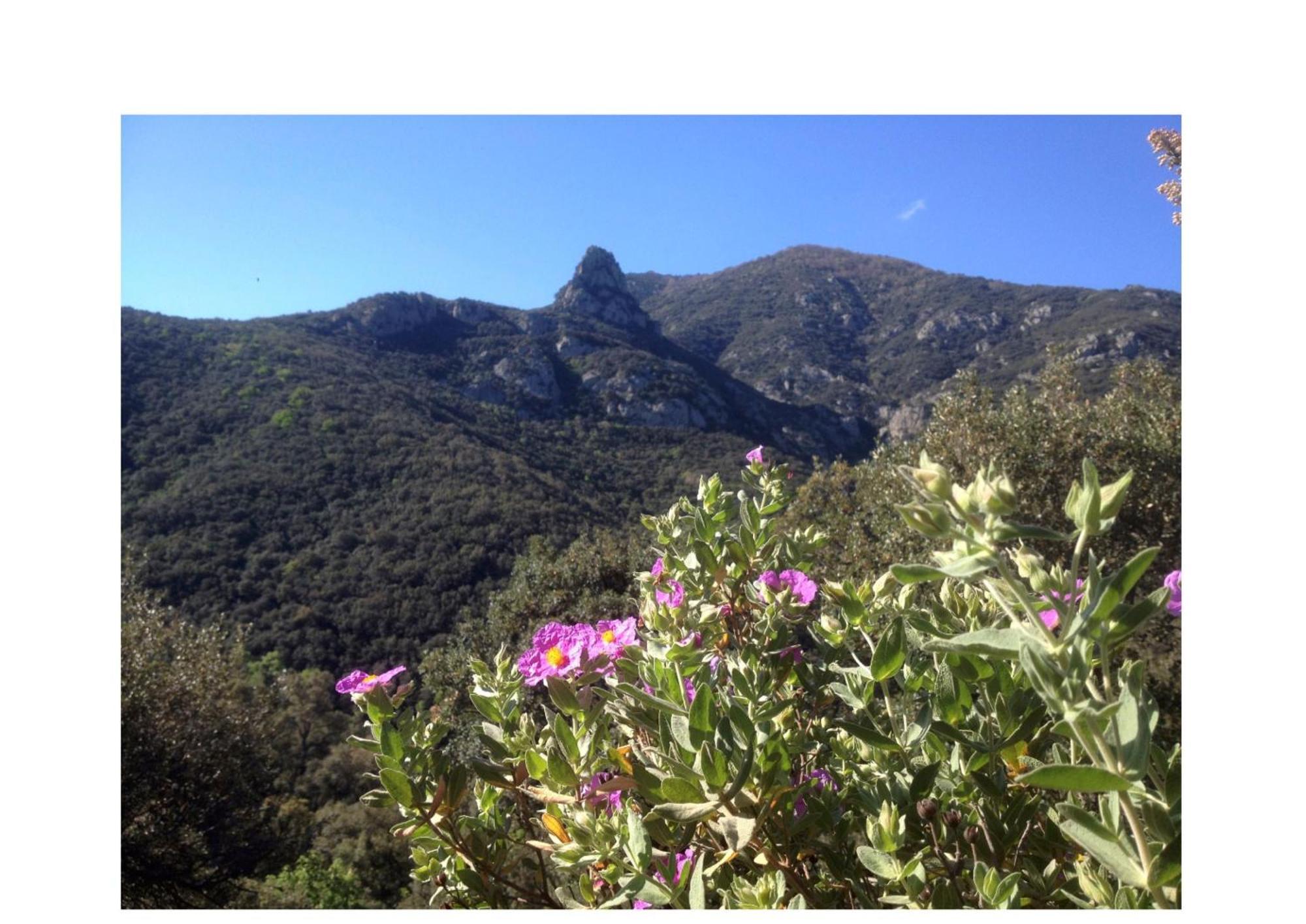 L'Abri La Vall Sorède Εξωτερικό φωτογραφία